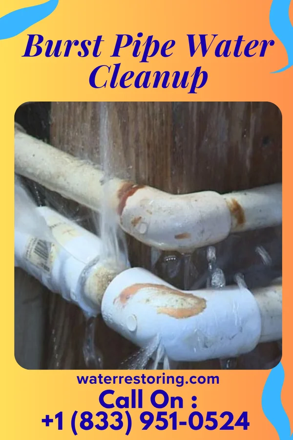 Burst Pipe Water Cleanup in Lowellville, OH