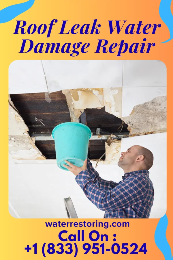Roof Leak Water Damage Repair in Lowellville, OH