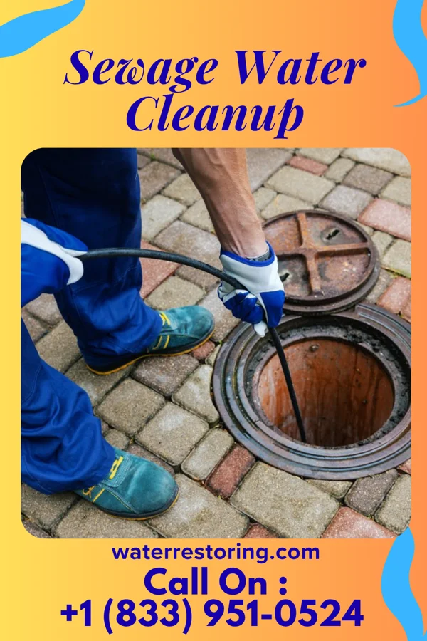 Sewage Water Cleanup in Lowellville, OH